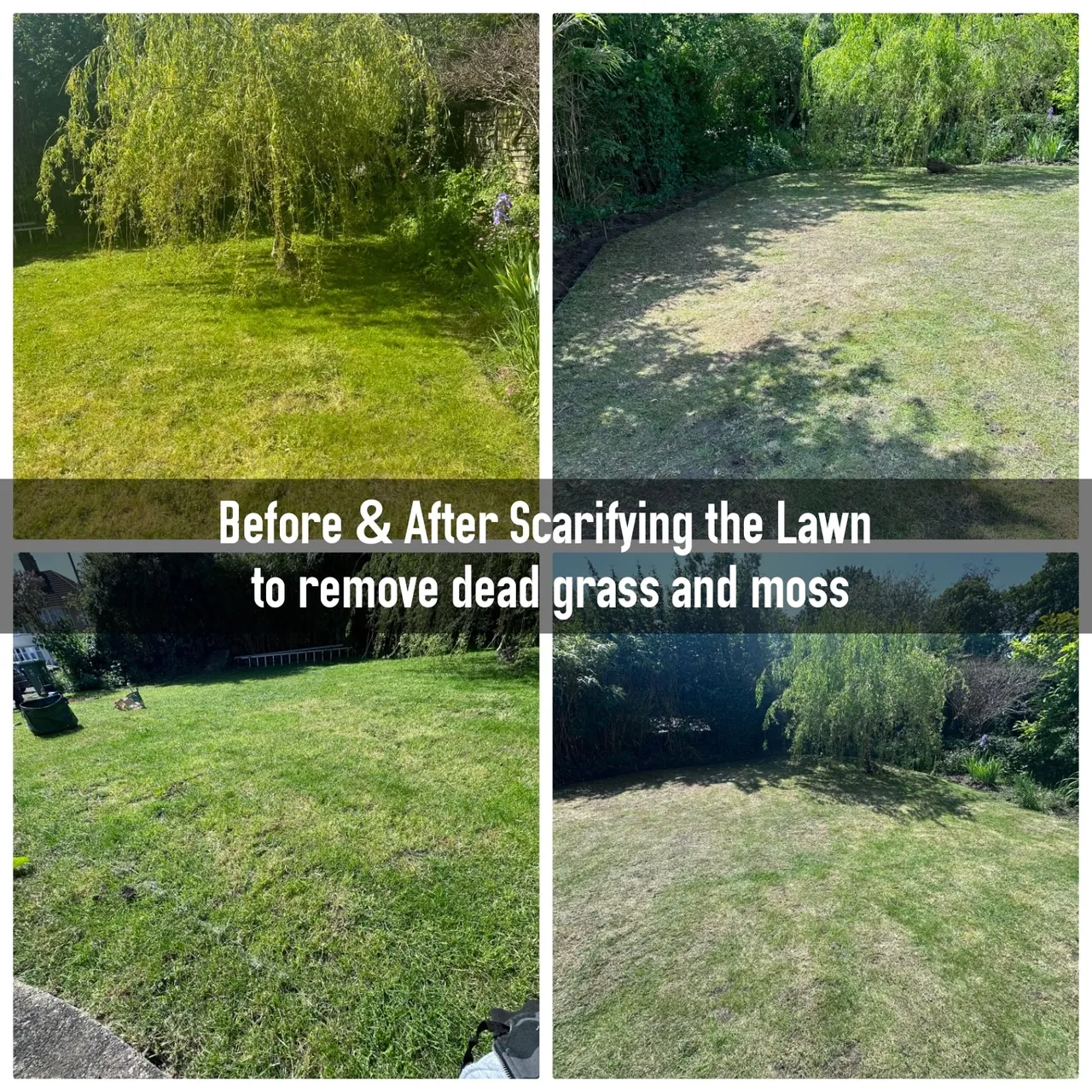 rs=w_1280,h_1280 (1)